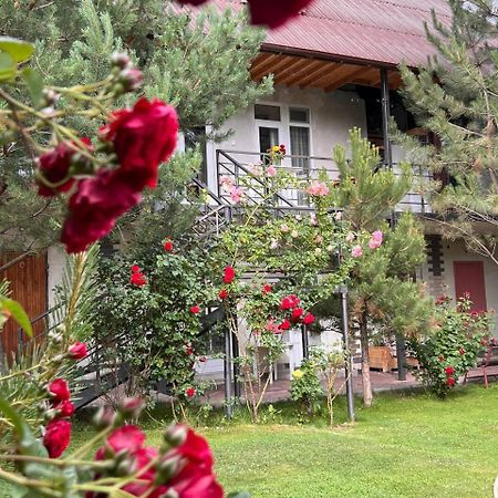 Podsolnukhi Guest House โชลปอน-อาตา ภายนอก รูปภาพ