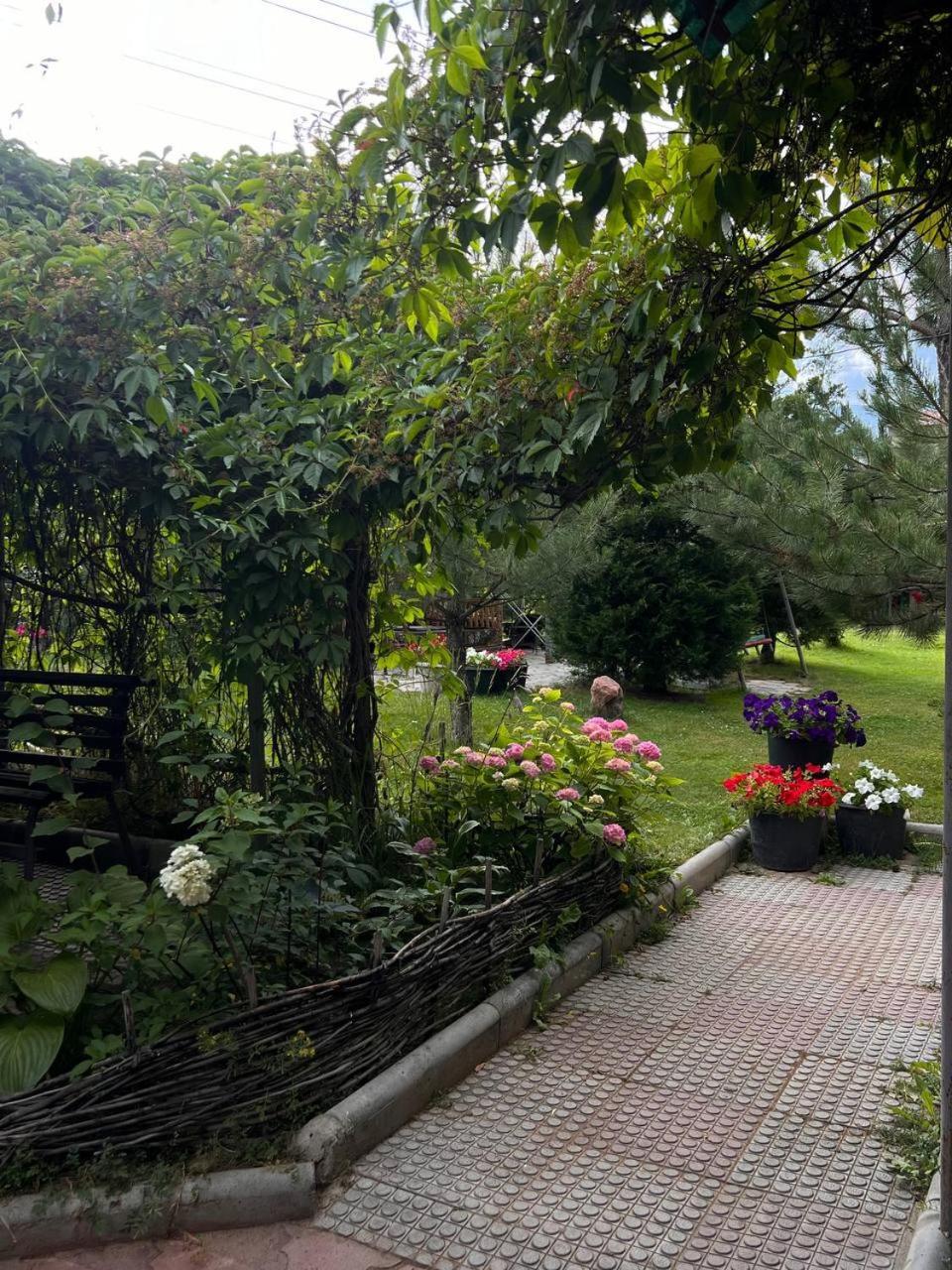 Podsolnukhi Guest House โชลปอน-อาตา ภายนอก รูปภาพ