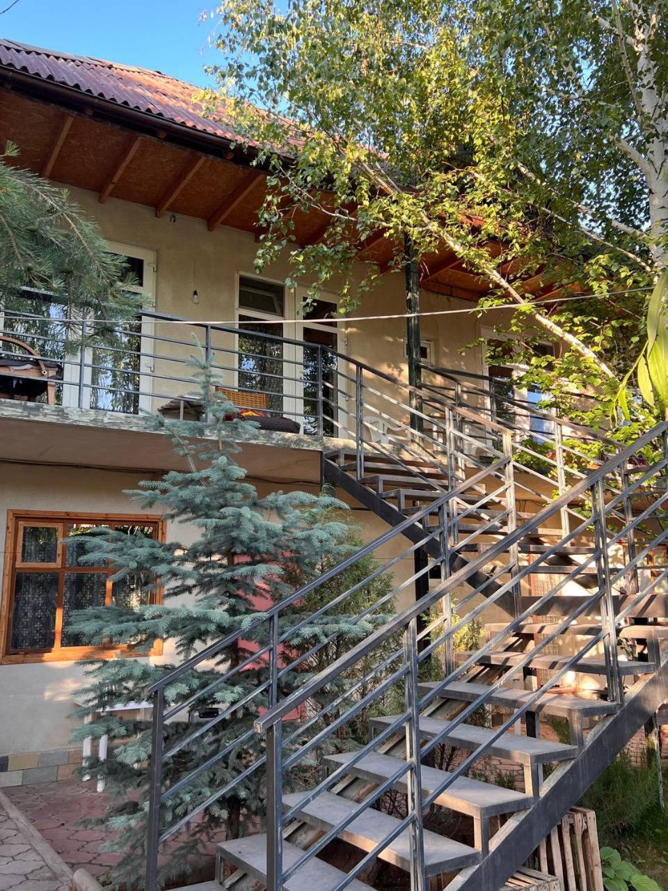 Podsolnukhi Guest House โชลปอน-อาตา ภายนอก รูปภาพ
